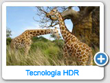 Trabajos de retoque y fotocomposición