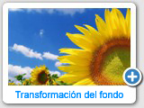 Trabajos de retoque y fotocomposición